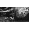 Imperial Darkness / Pyrifleyethon - Havoc's Split Asunder