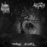 Sombre Croisade / Suicidal Madness - Molasar Dream's