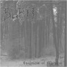 Surtt - Fragment of Madness