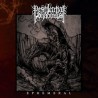 Pestilential Shadows - Ephemeral