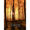 Widuz / Forstyrre / As Light Becomes Shadow - Verendetes Licht