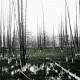 Seventh Genocide - SVNTH