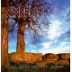 Odroerir - Das Erbe Unserer Ahnen