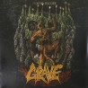 Grave - Morbid Ascent
