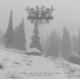 Selvmord - Til Doden, Til Alt Som Er Skjult I Taken, Skogen Og Isen