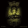Dizziness - 10 Years... Of... Fortification