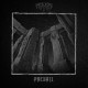 Ayyur - Prevail