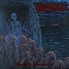 Solipsism - Cruelty & Necrospection