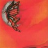 Cele Kula - The Moonlight and the Misty Night