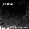 Mist - Snowy Nocturnal Forest and Stellar Sky